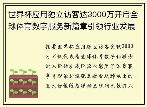 世界杯应用独立访客达3000万开启全球体育数字服务新篇章引领行业发展新趋势